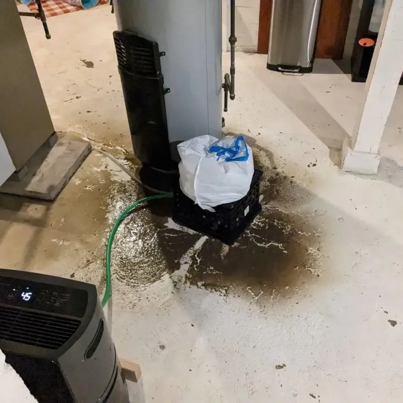 Sewage Backup Cleanup Service in Durham, CT